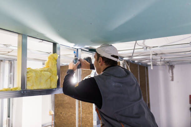 Best Blown-in Insulation in Dutch Island, GA