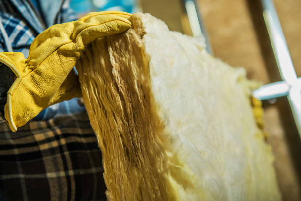 Best Specialized Insulation Services in Dutch Island, GA