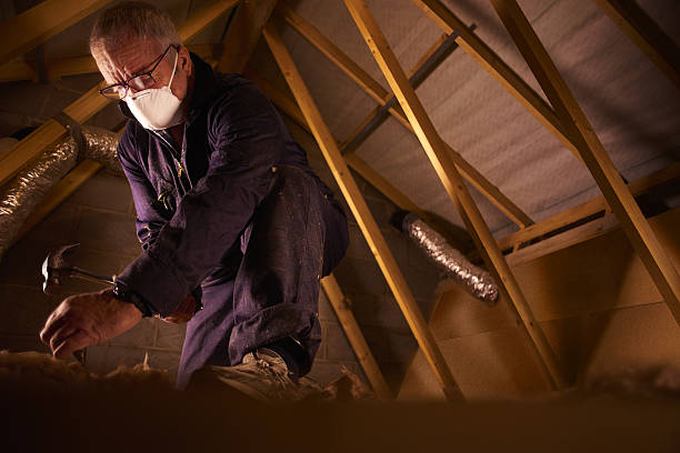Best Residential Insulation in Dutch Island, GA