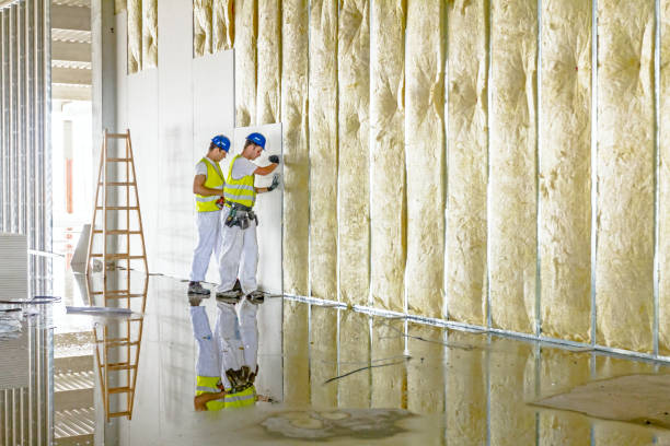 Best Spray Foam Insulation in Dutch Island, GA